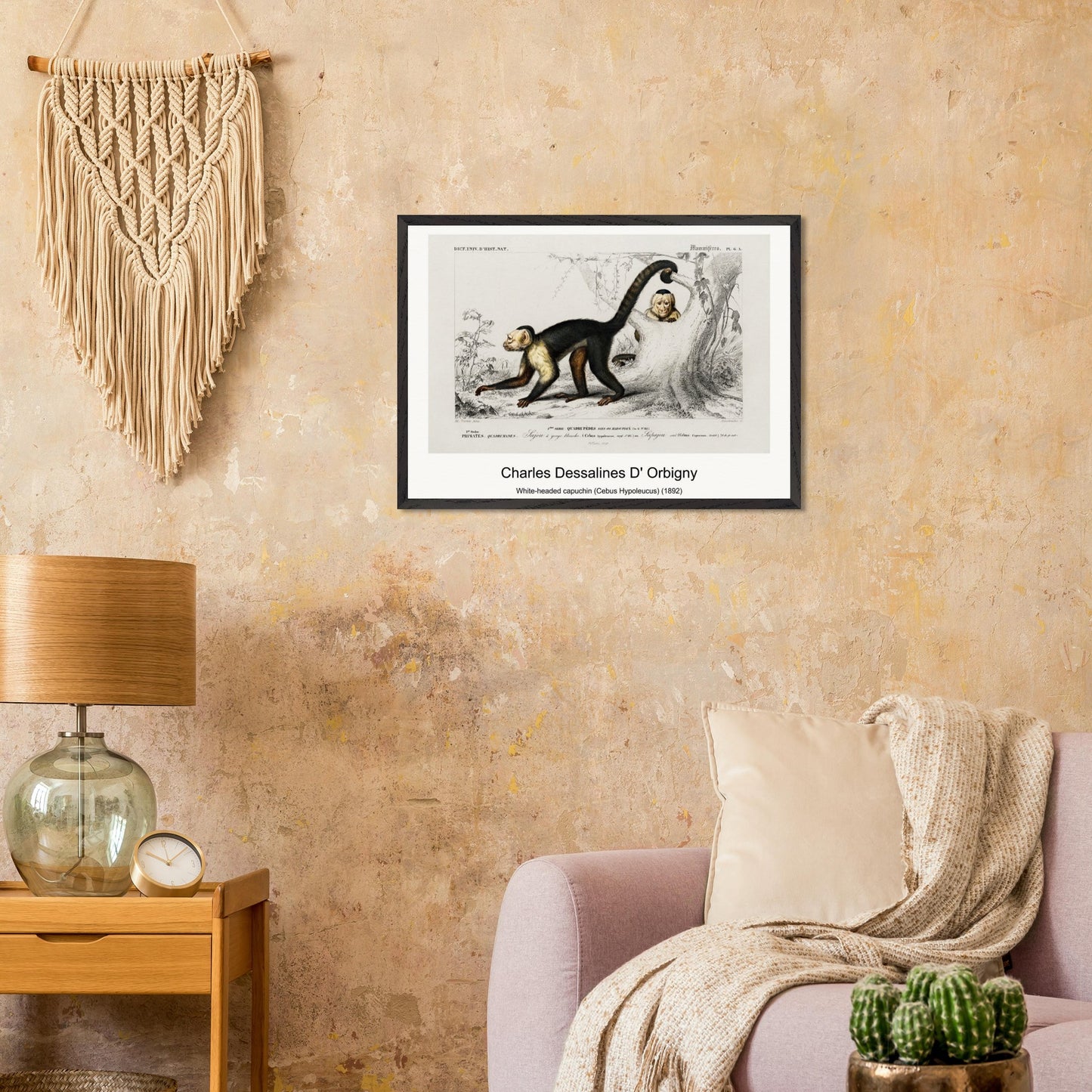 e8603369-ebae-4d09-adf0-cb2b0af83ed7