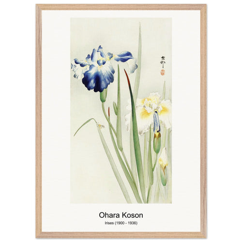 Irises (1900 - 1936) by Ohara Koson. Archival Print on Museum Quality Matte Paper. Premium Wood Framed Wall Art. Original Aspect Ratio