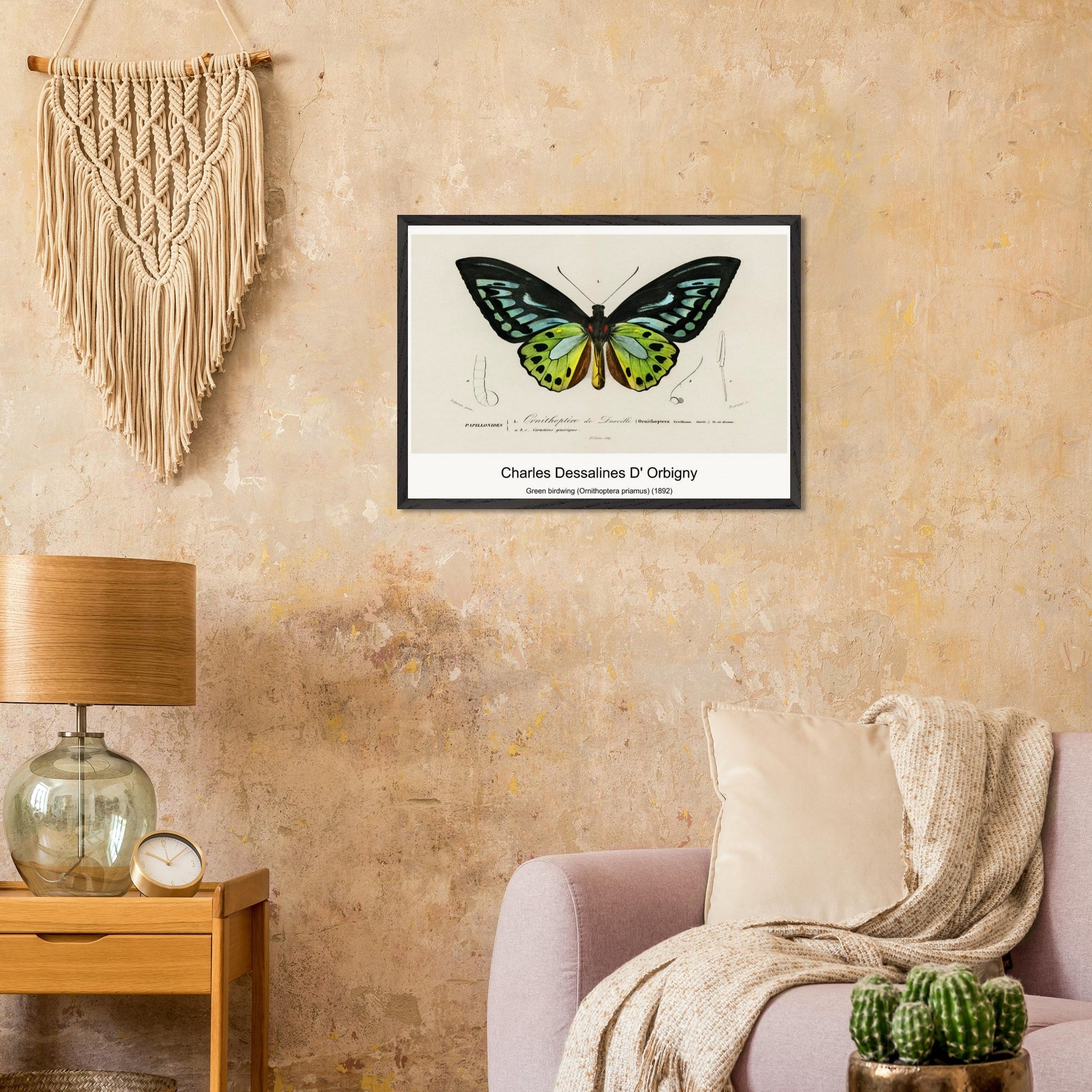 e95da79b-ee02-4c54-bc62-29720b40c58c