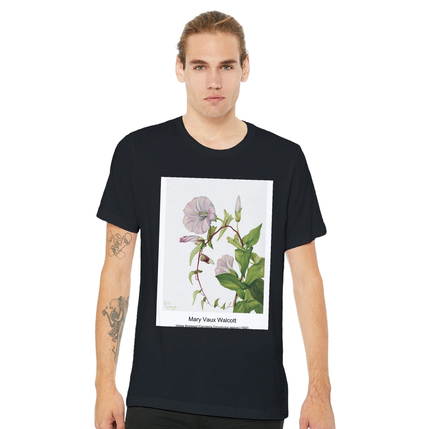 e98fdba6-8dc8-40d1-877f-c5448220b3d6