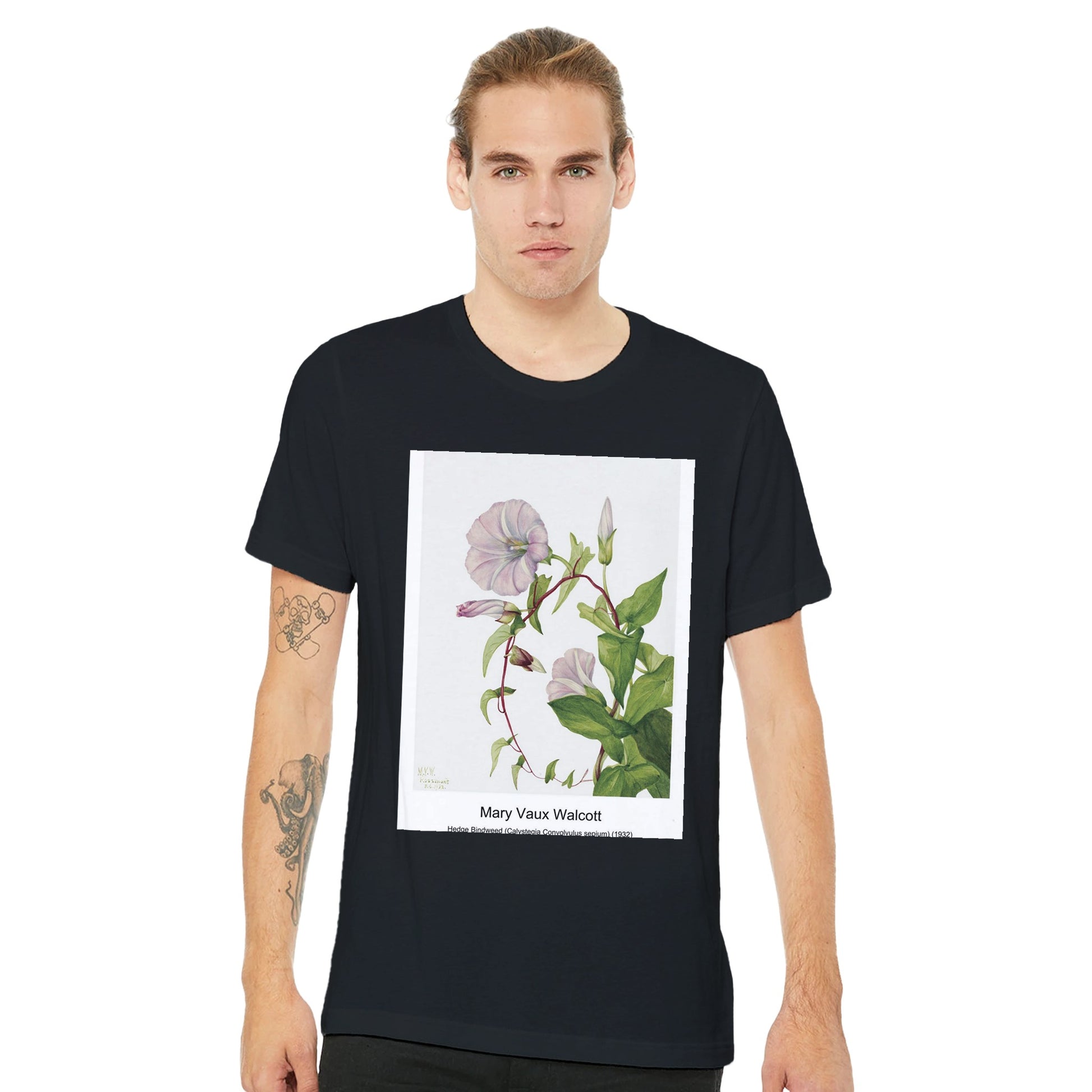 e98fdba6-8dc8-40d1-877f-c5448220b3d6