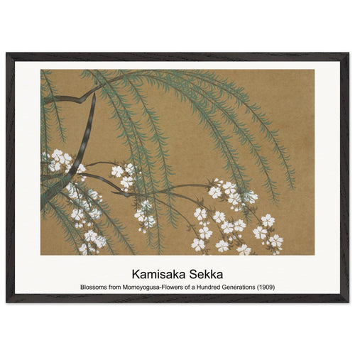Blossoms from Momoyogusa-Flowers of a Hundred Generations (1909) by Kamisaka Sekka. Archival Print on Museum Quality Matte Paper. Premium Wood Framed Wall Art. Original Aspect Ratio