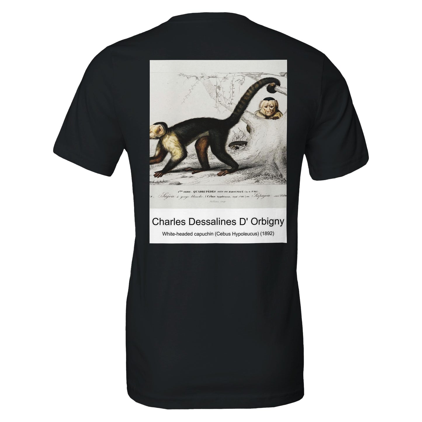 eb526845-ba20-440c-b1ea-cc21da99edb0