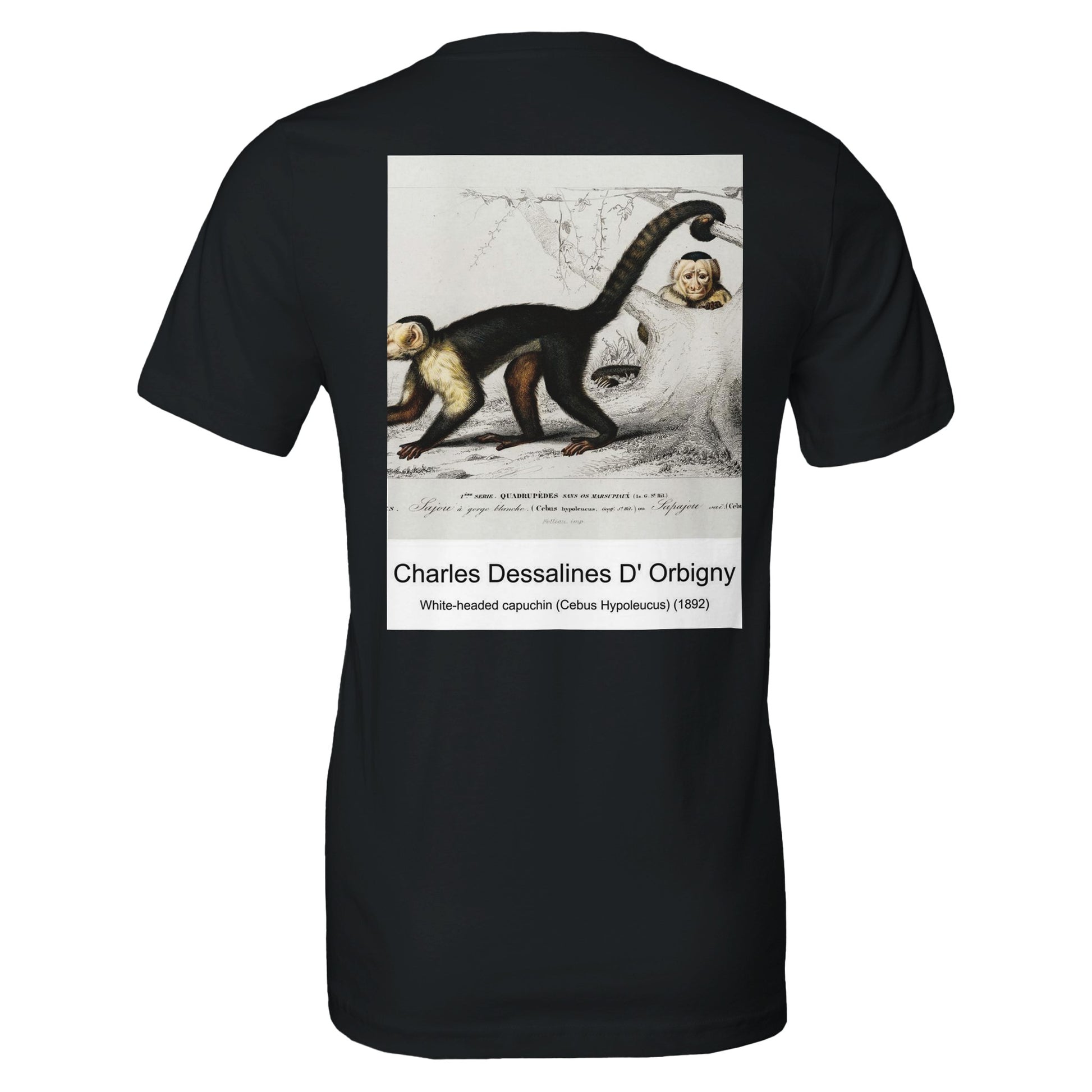 eb526845-ba20-440c-b1ea-cc21da99edb0