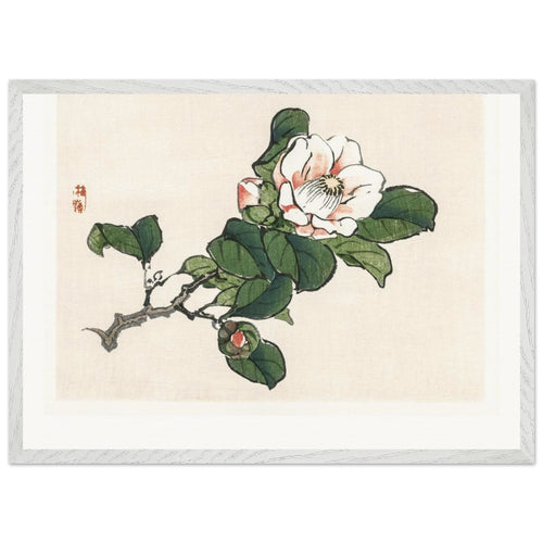 Camelia (1913) by Kōno Bairei. Archival Print on Museum Quality Matte Paper. Premium Wood Framed Wall Art. Original Aspect Ratio