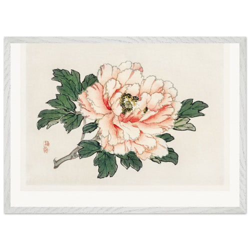 Pink rose (1913) by Kōno Bairei. Archival Print on Museum Quality Matte Paper. Premium Wood Framed Wall Art. Original Aspect Ratio