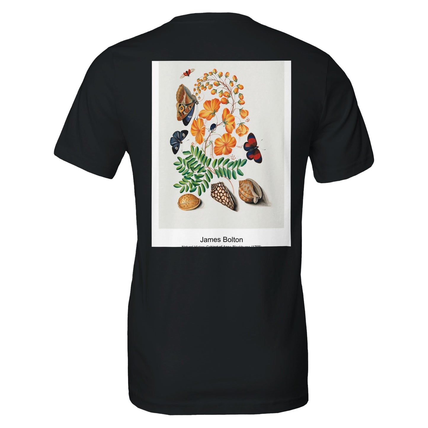 ebfa4370-a093-4920-9e34-967a2ce295b3