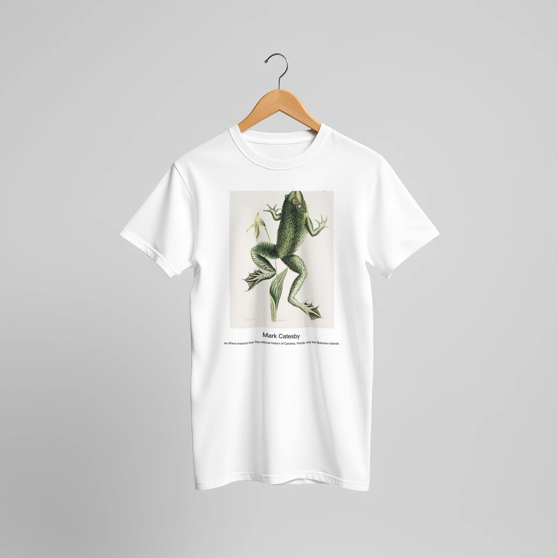 ec5c4e6e-7621-45eb-a75d-b5711132238d