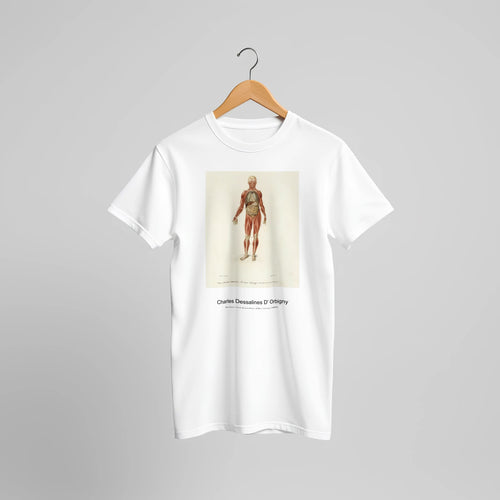 Myology and disposition of the viscera (1892) by Charles Dessalines D' Orbigny. Custom Print on a 100% Airlume Combed and Ring-Spun Cotton Unisex Crewneck T-shirt Original Aspect Ratio