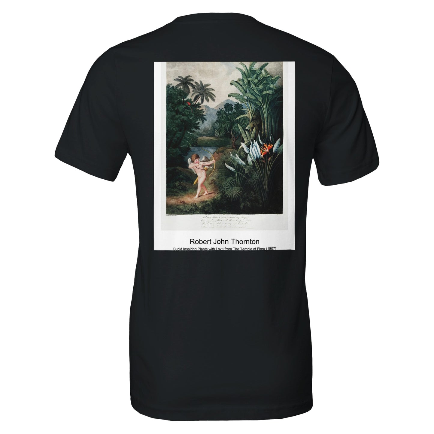 eccde9ae-d732-44c6-86fa-60dbdd4be243