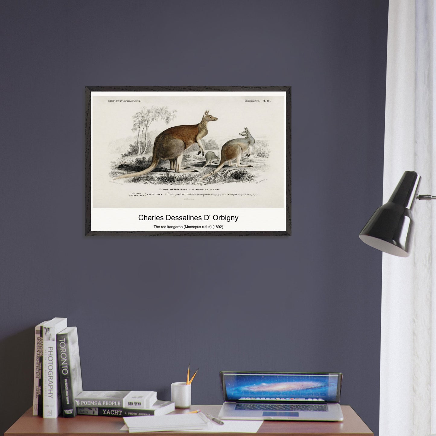 ece73703-7cb8-4e2d-8249-c82d5503e680