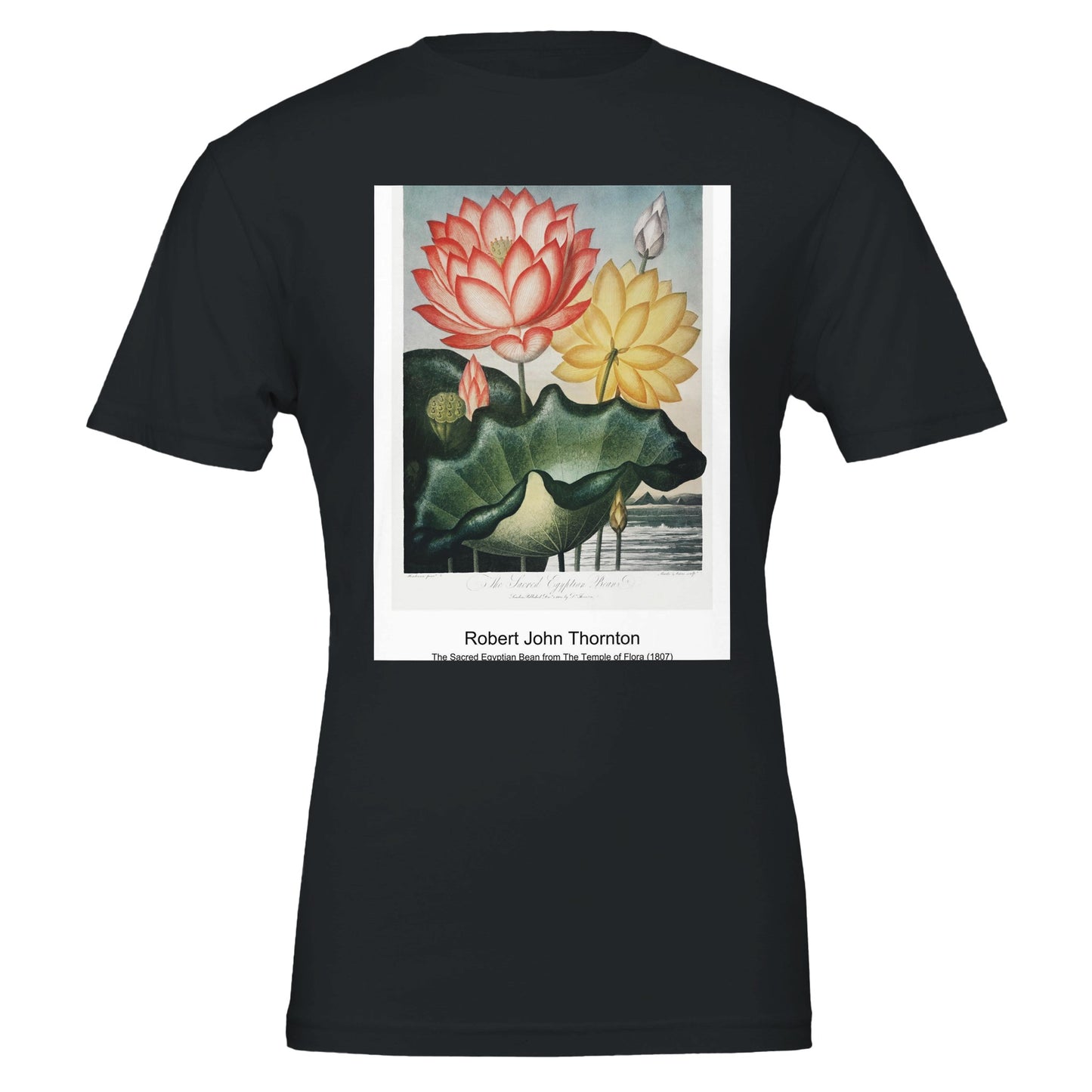 ecef402a-933d-4abe-bcda-cbcd274907f4