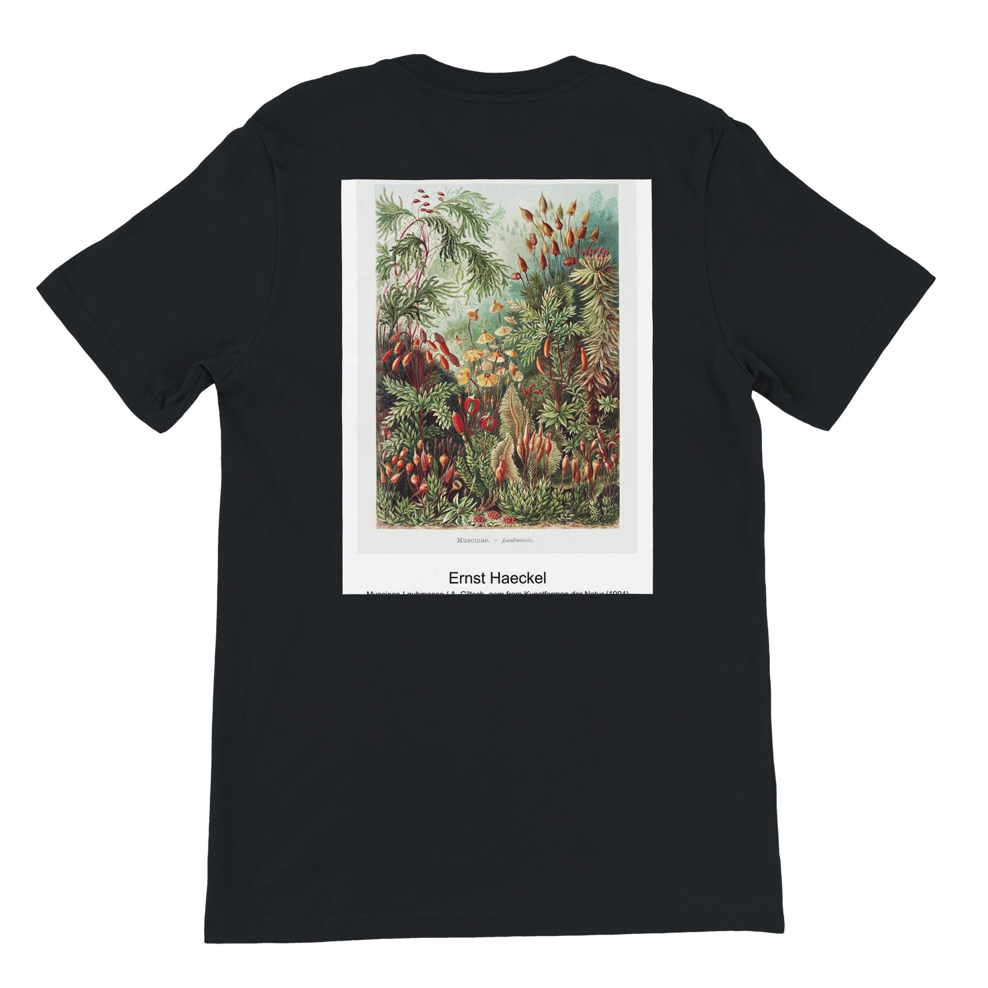 ed7ce966-3219-4cf5-b613-600748d1d973