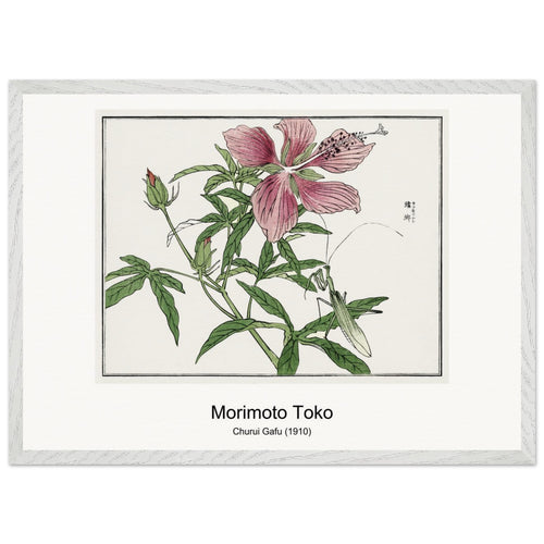 Churui Gafu (1910) by Morimoto Toko. Archival Print on Museum Quality Matte Paper. Premium Wood Framed Wall Art. Original Aspect Ratio