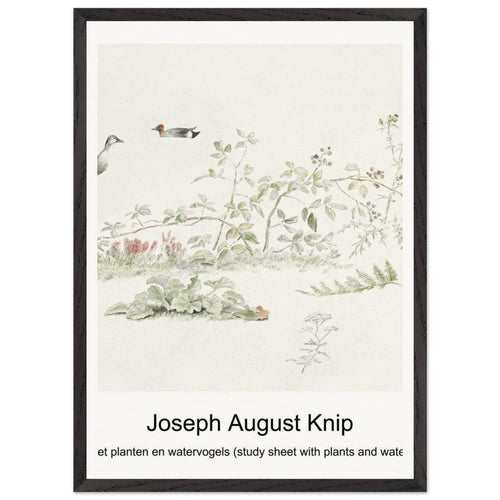 Urformen der Kunst (1928) by Karl Blossfeldt. Archival Print on Museum Quality Matte Paper. Premium Wood Framed Wall Art. Original Aspect Ratio