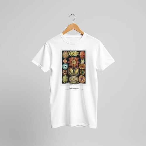Ascidiae-Seescheiden from Kunstformen der Natur (1904) by Ernst Haeckel. Custom Print on a 100% Airlume Combed and Ring-Spun Cotton Unisex Crewneck T-shirt Original Aspect Ratio