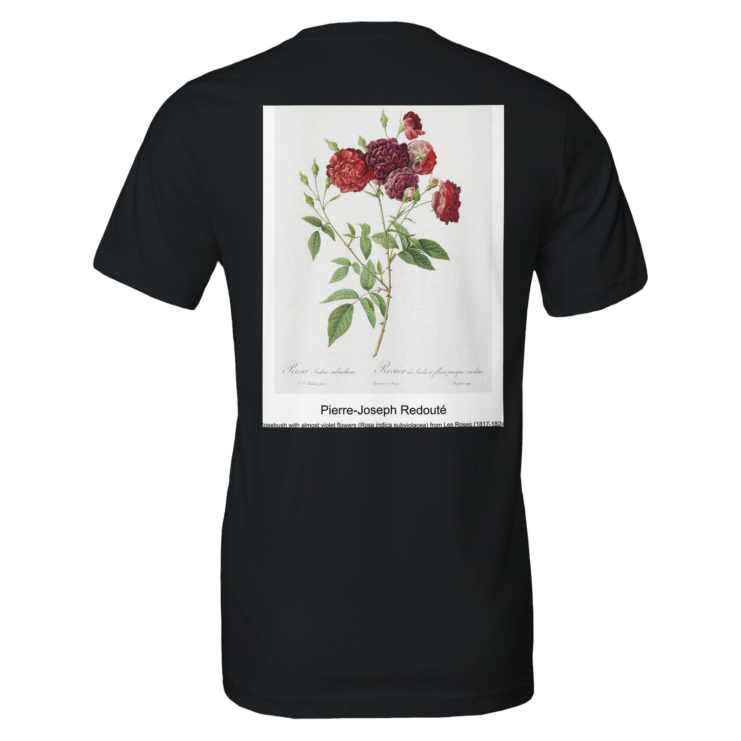 ef03b803-ce94-41ac-88a2-b38780b2462e