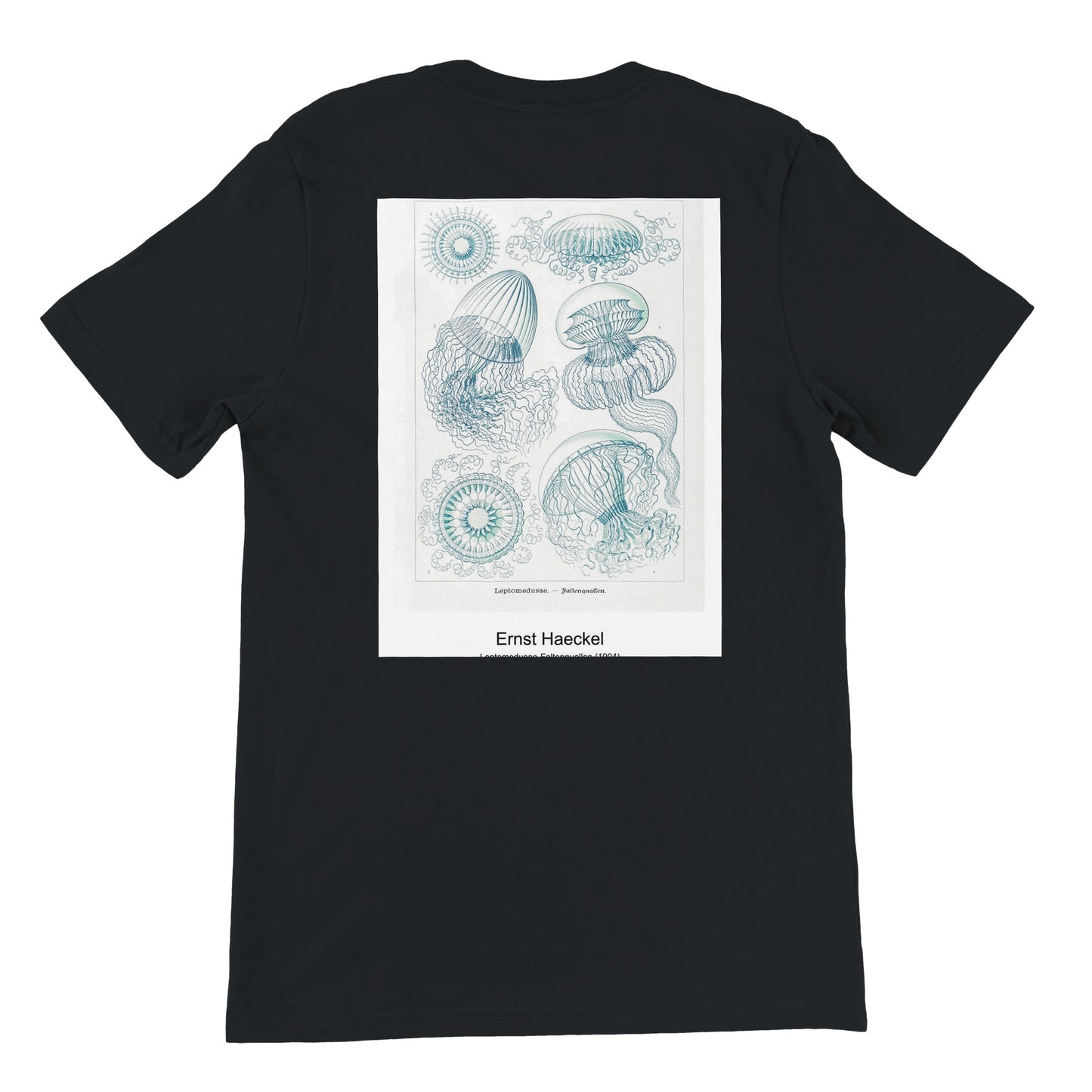 ef744d0e-dc4a-4095-8597-66a009720659