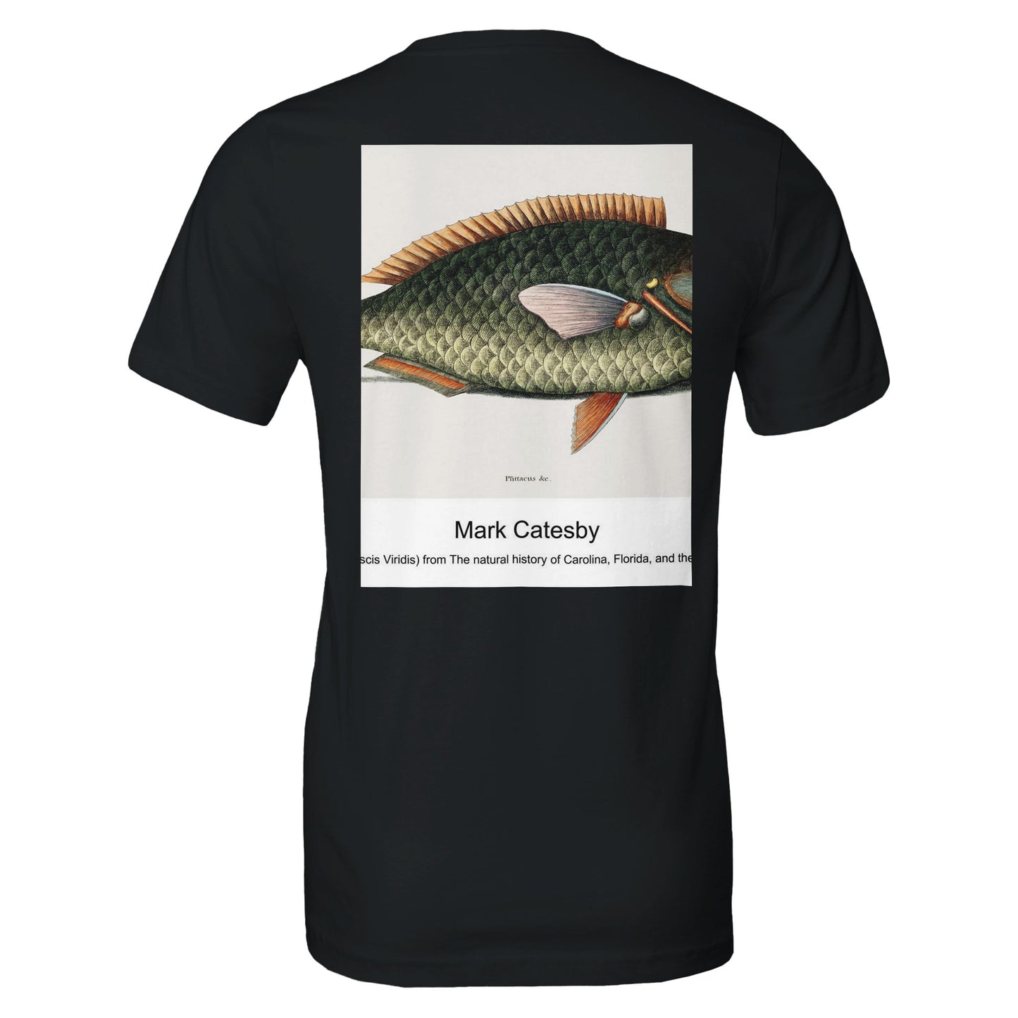 efcf34b8-52ce-4bdf-8a2a-ef0e0759c147