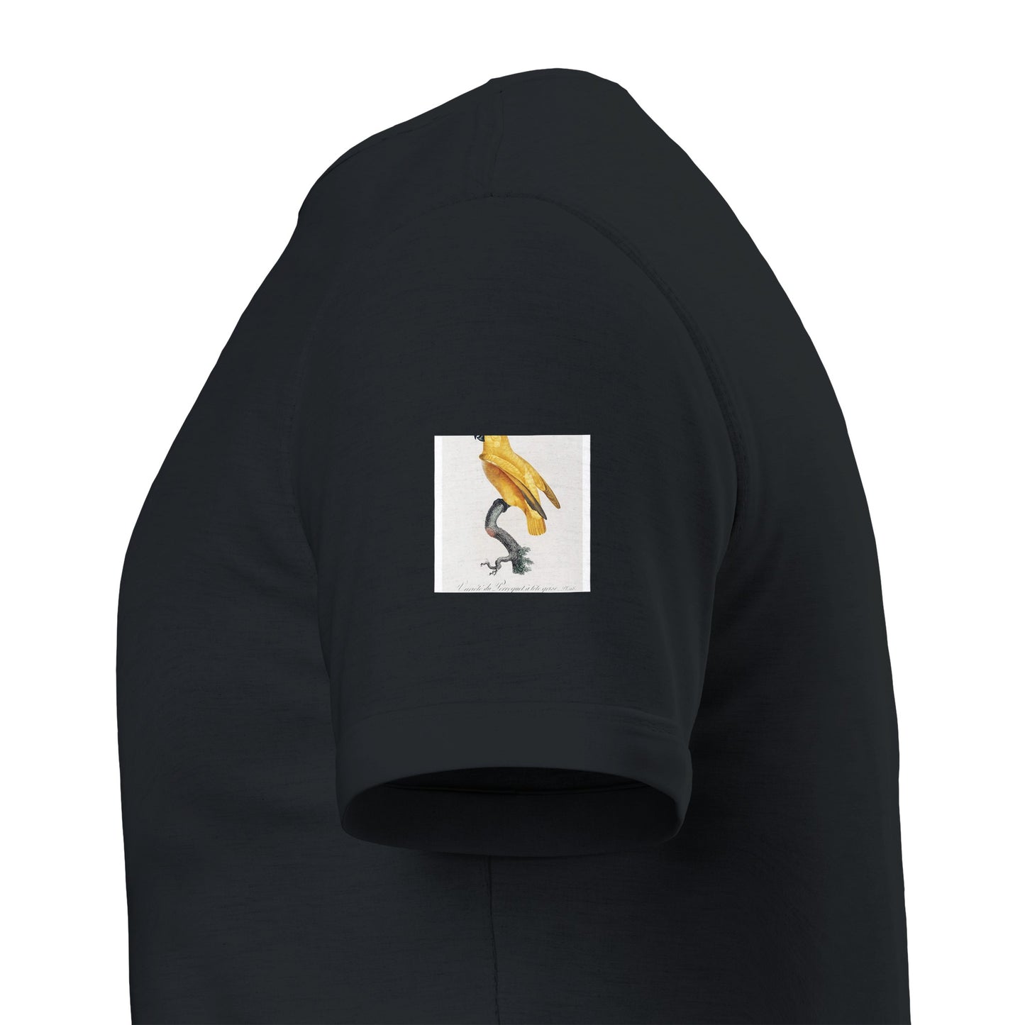 f011bd6b-3db3-4b69-bae3-e99ce1c6d33c