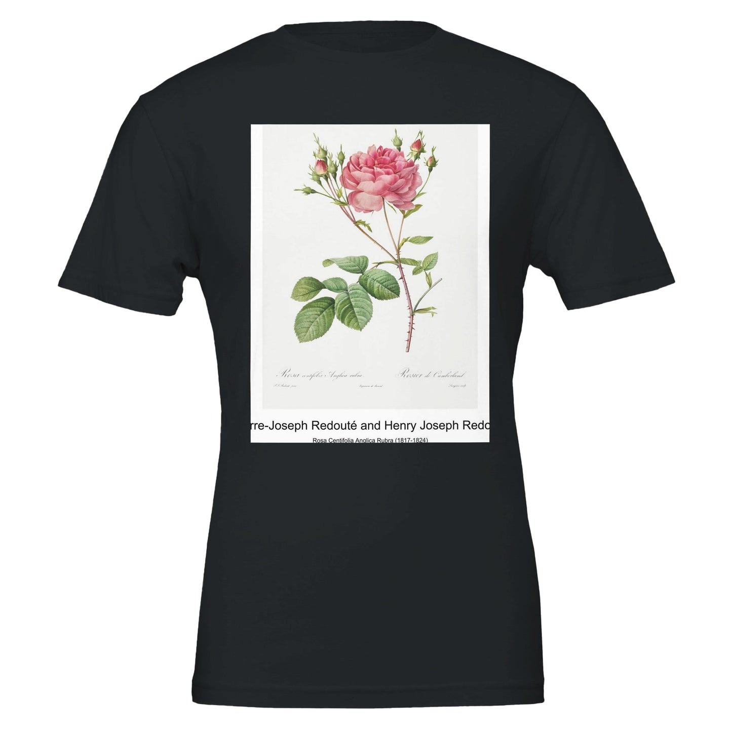 f055aa2b-0fd8-4278-a0bf-00e1b48c148a