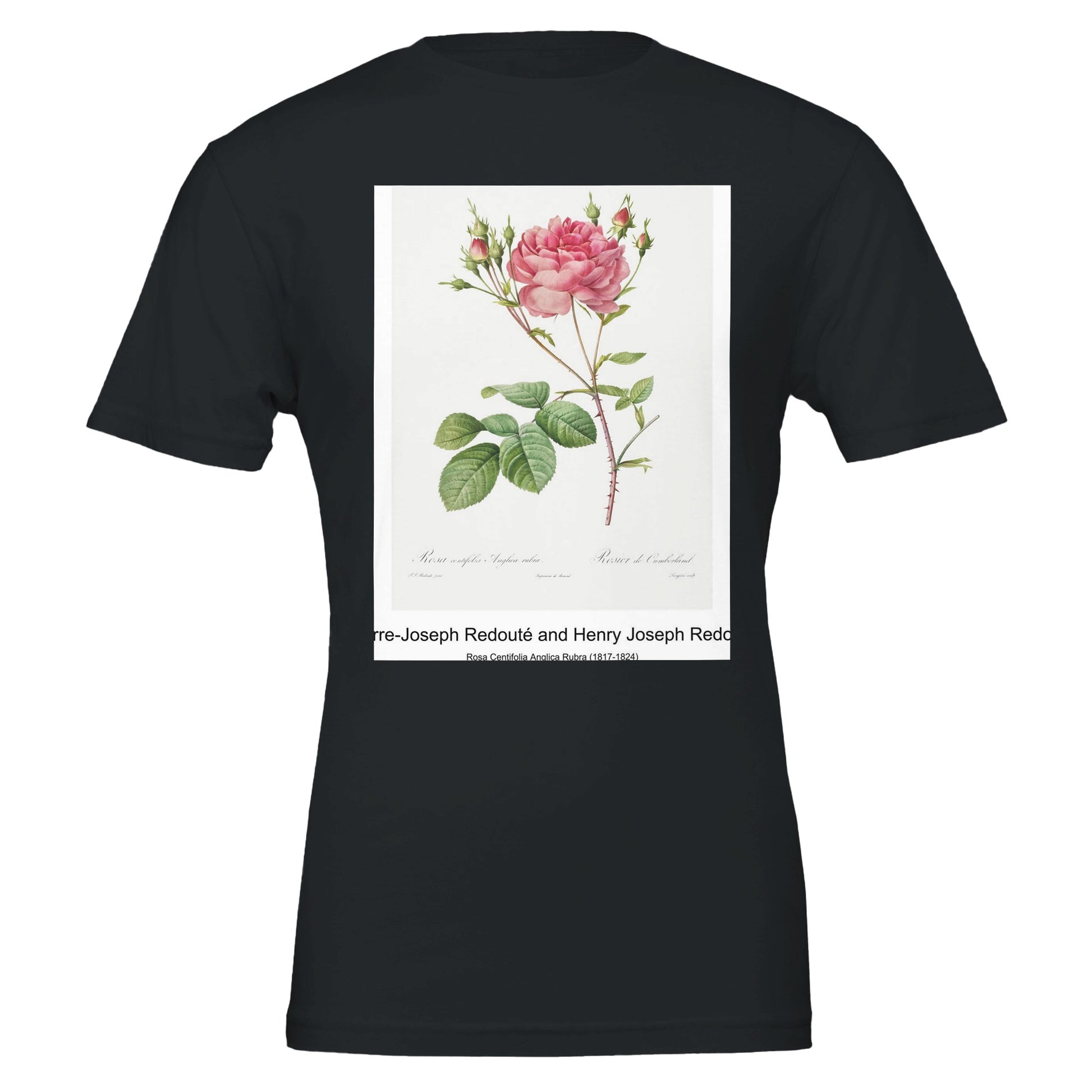 f055aa2b-0fd8-4278-a0bf-00e1b48c148a