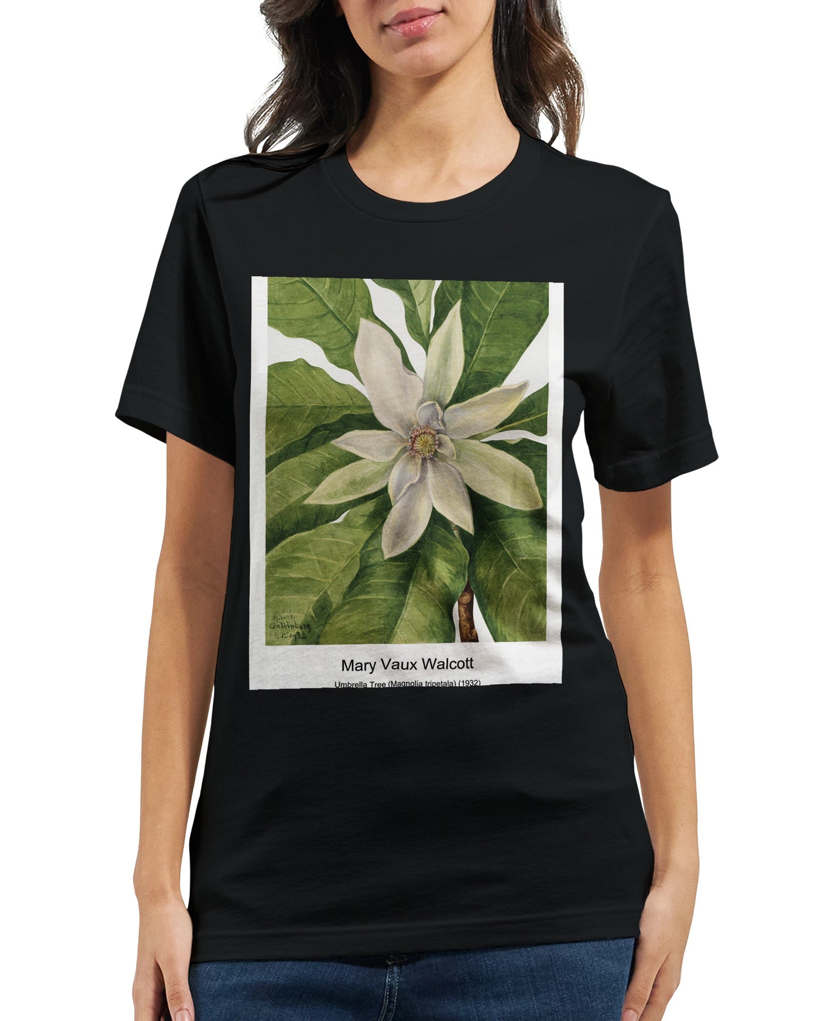 f05e459a-96b5-4d90-aad1-a04464c7c0a5