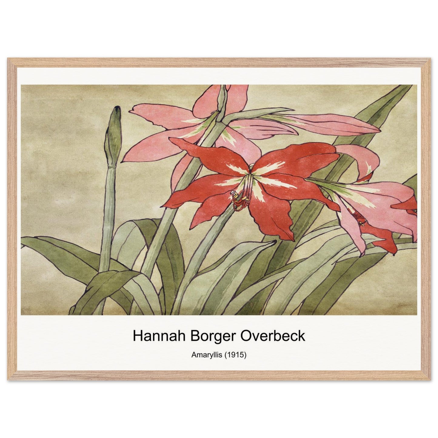 f11fa76d-18af-4032-8f5e-61e9f88ee140