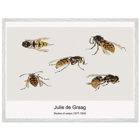 f1537c4f-b3cc-418a-af33-d83c5992acdc