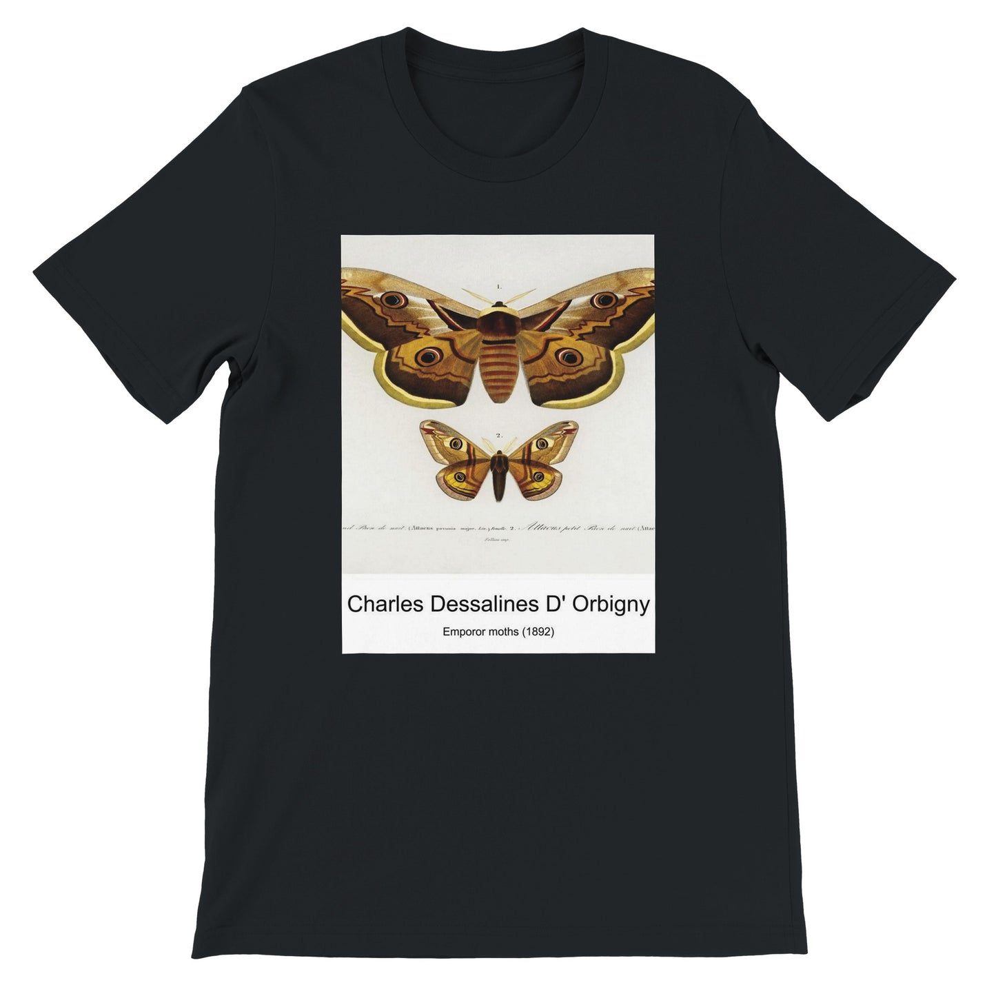 f165704f-f9ec-460e-87e4-9b9641236a20