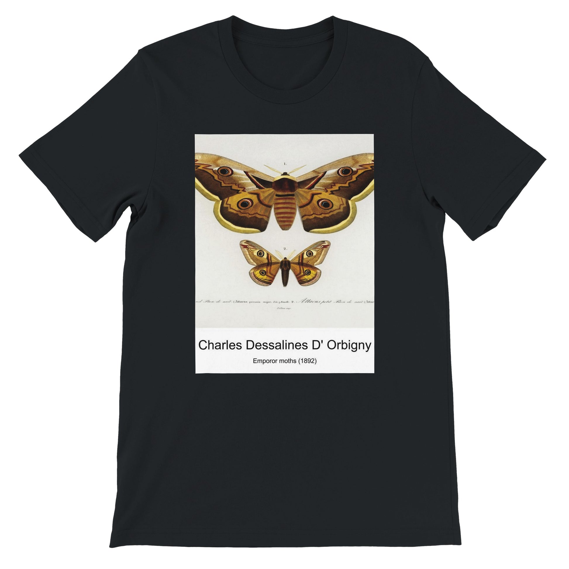 f165704f-f9ec-460e-87e4-9b9641236a20