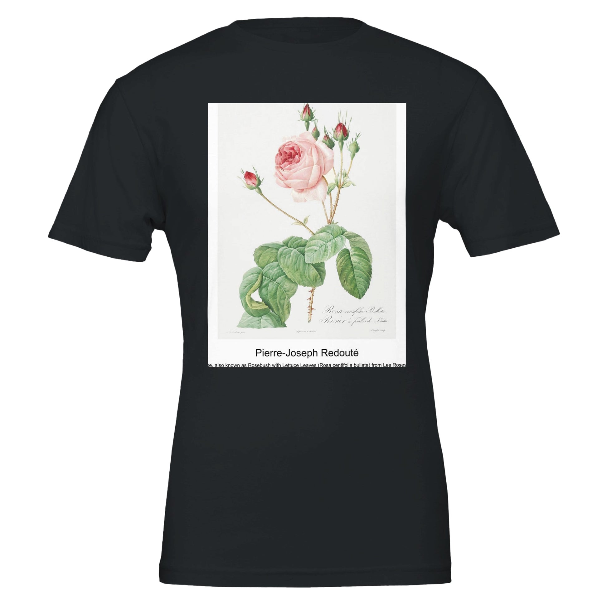 f30daa48-22c5-49d2-8554-bd46e91c41fd