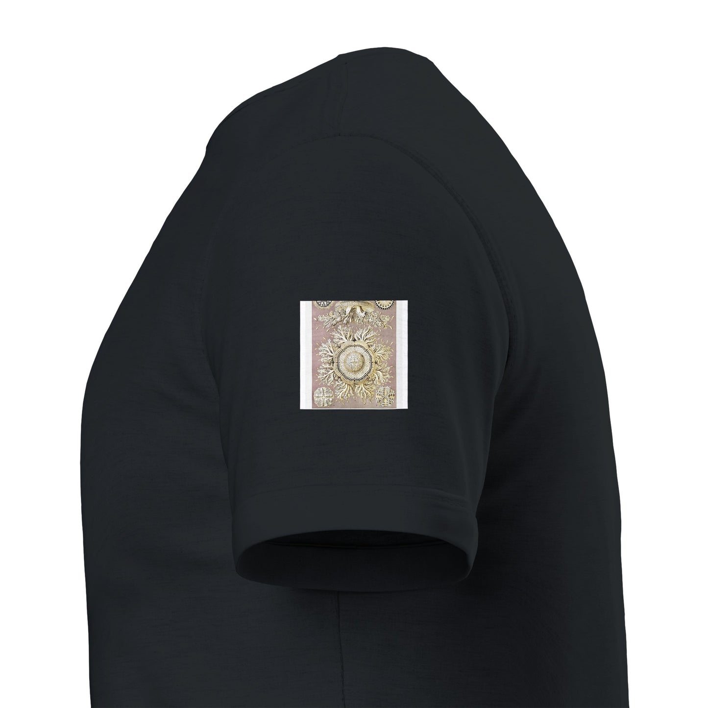 f32fc53b-7d88-486e-8a3e-32b0747f2957