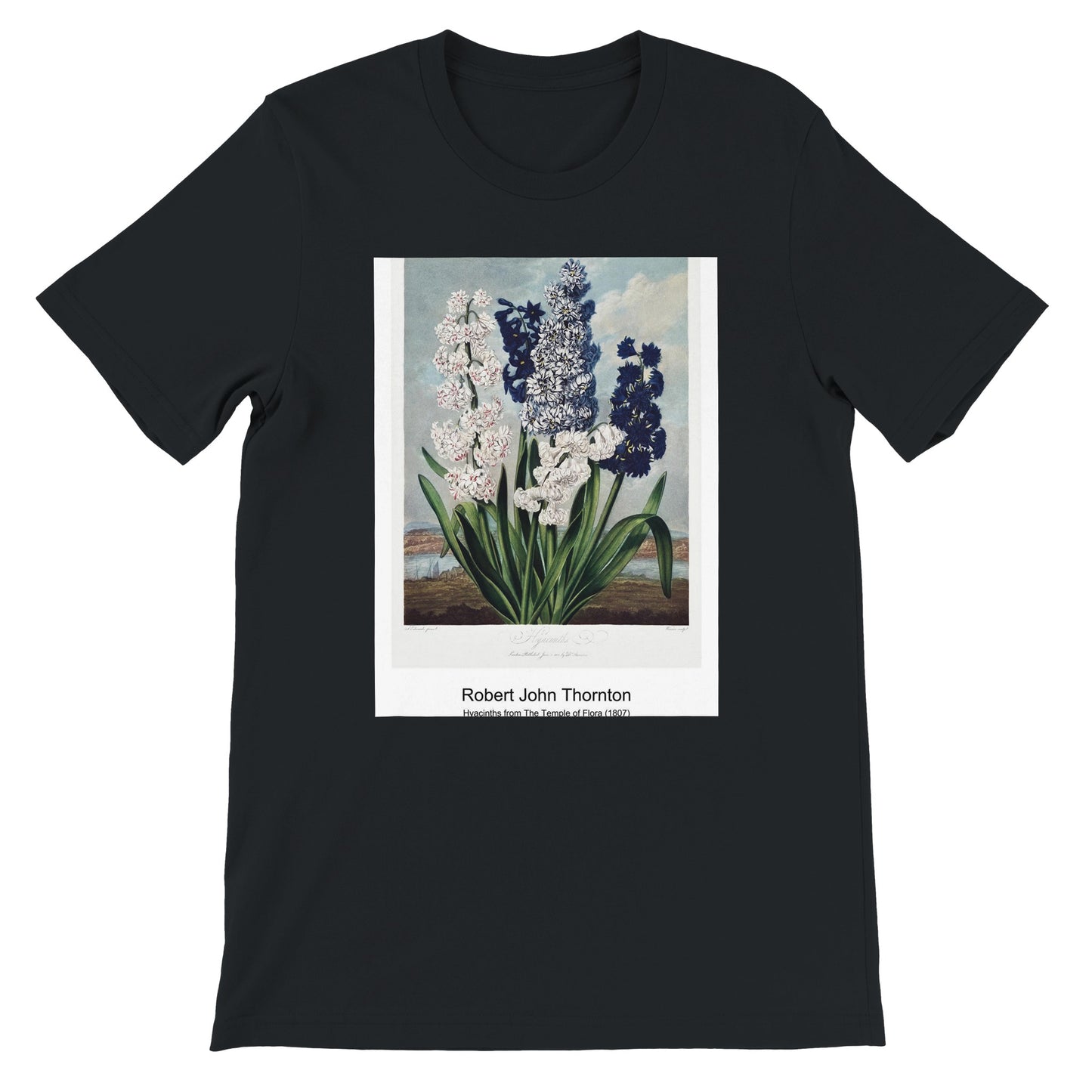 f442294e-c6f7-4f14-a13f-5c48c2b878b6