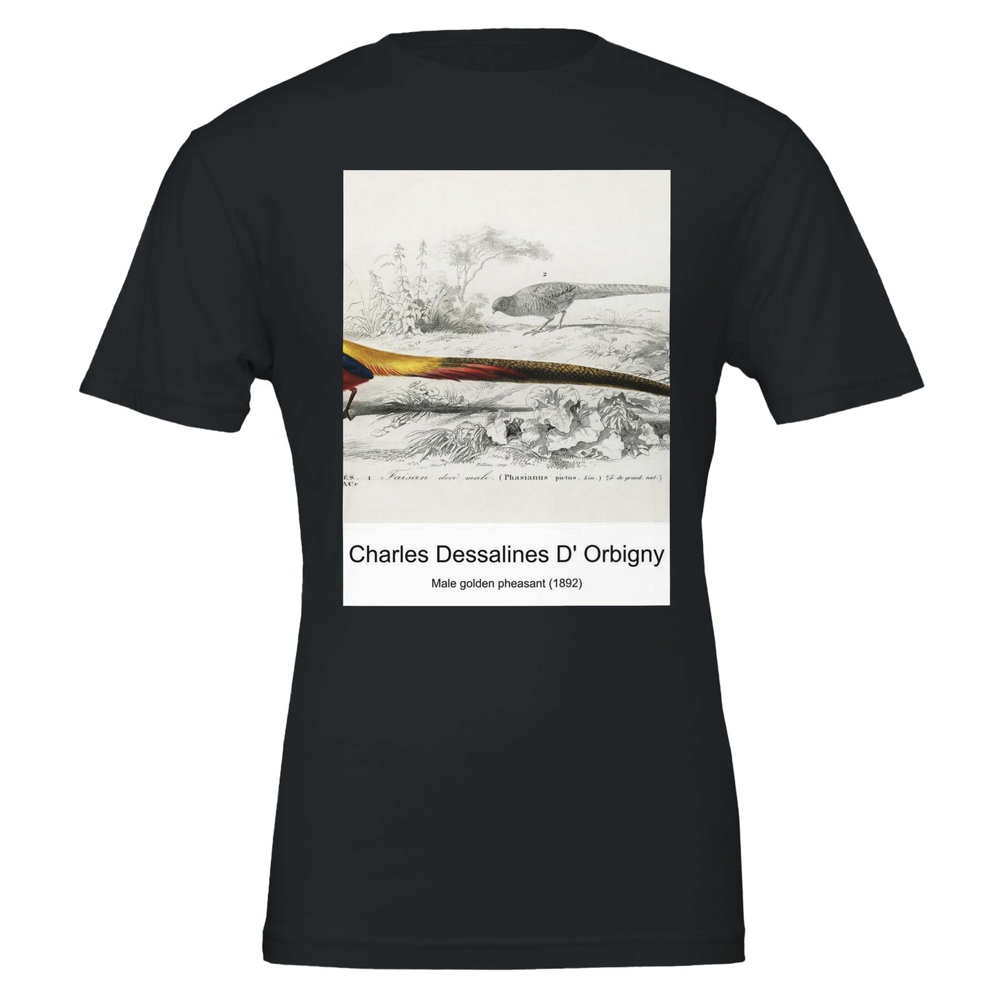 f50a813e-e481-462d-a73b-7dc349d7cf26