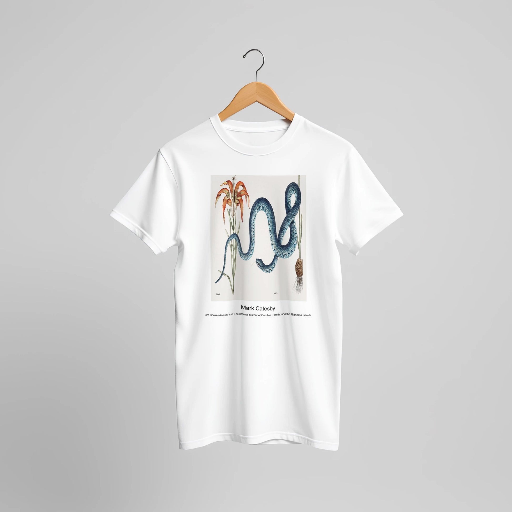 f6e92d5d-0341-4c07-ada6-0f8183ca4189