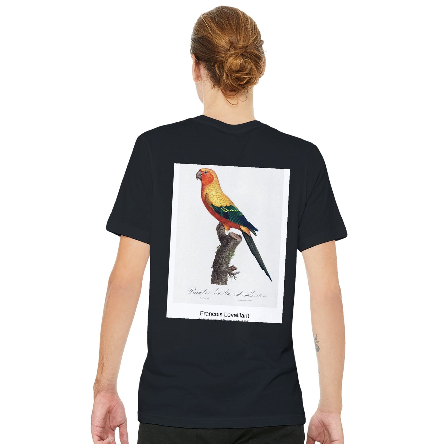 f833f496-900f-4785-bc57-f2871e27b706