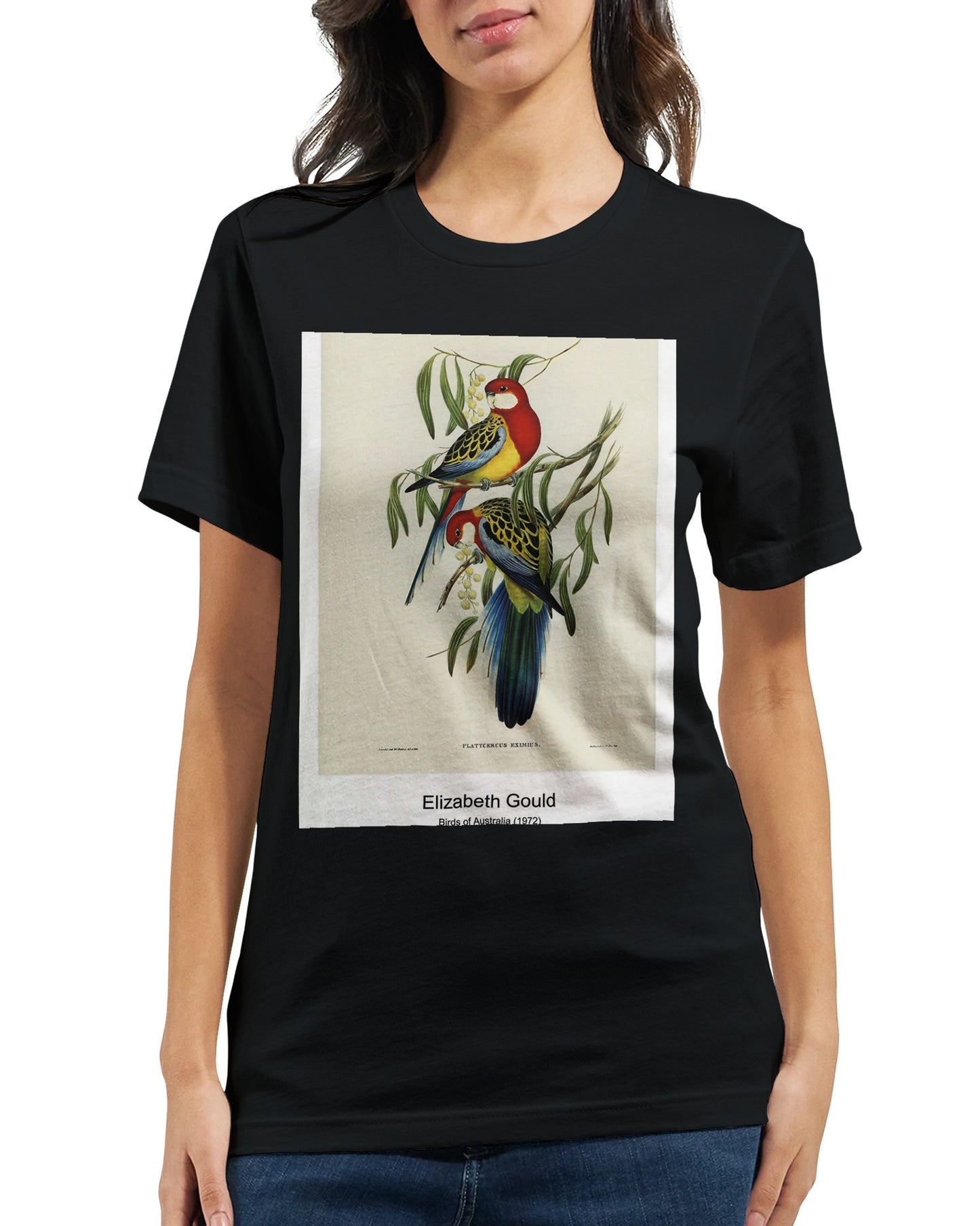 f8859030-ded4-4954-afd7-1ce136d6084d