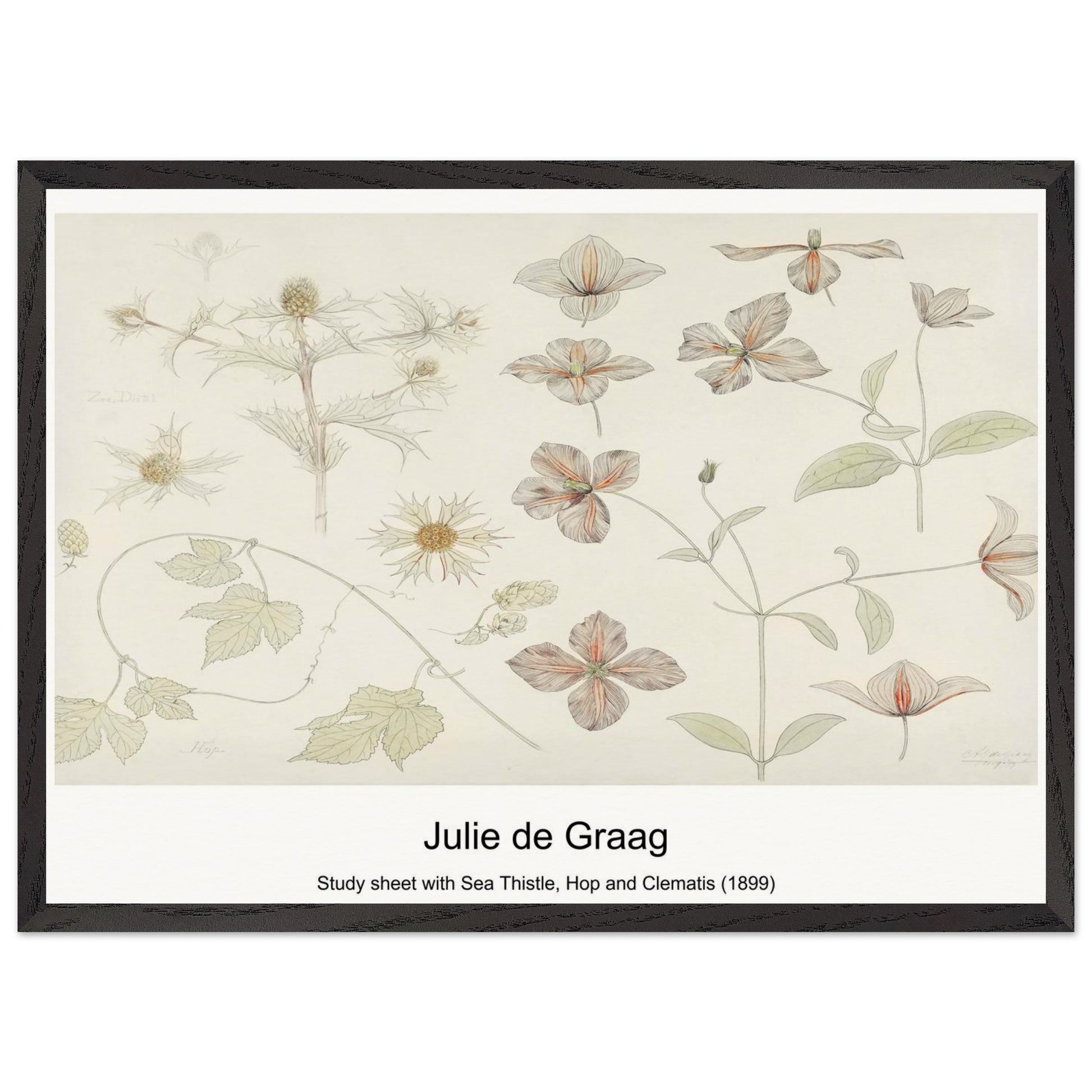 f8b58502-4373-4167-8cae-158bcc835424