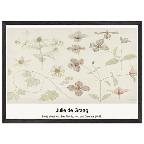 Study sheet with Sea Thistle, Hop and Clematis (1899) by Julie de Graag. Archival Print on Museum Quality Matte Paper. Premium Wood Framed Wall Art. Optimised Aspect Ratio.