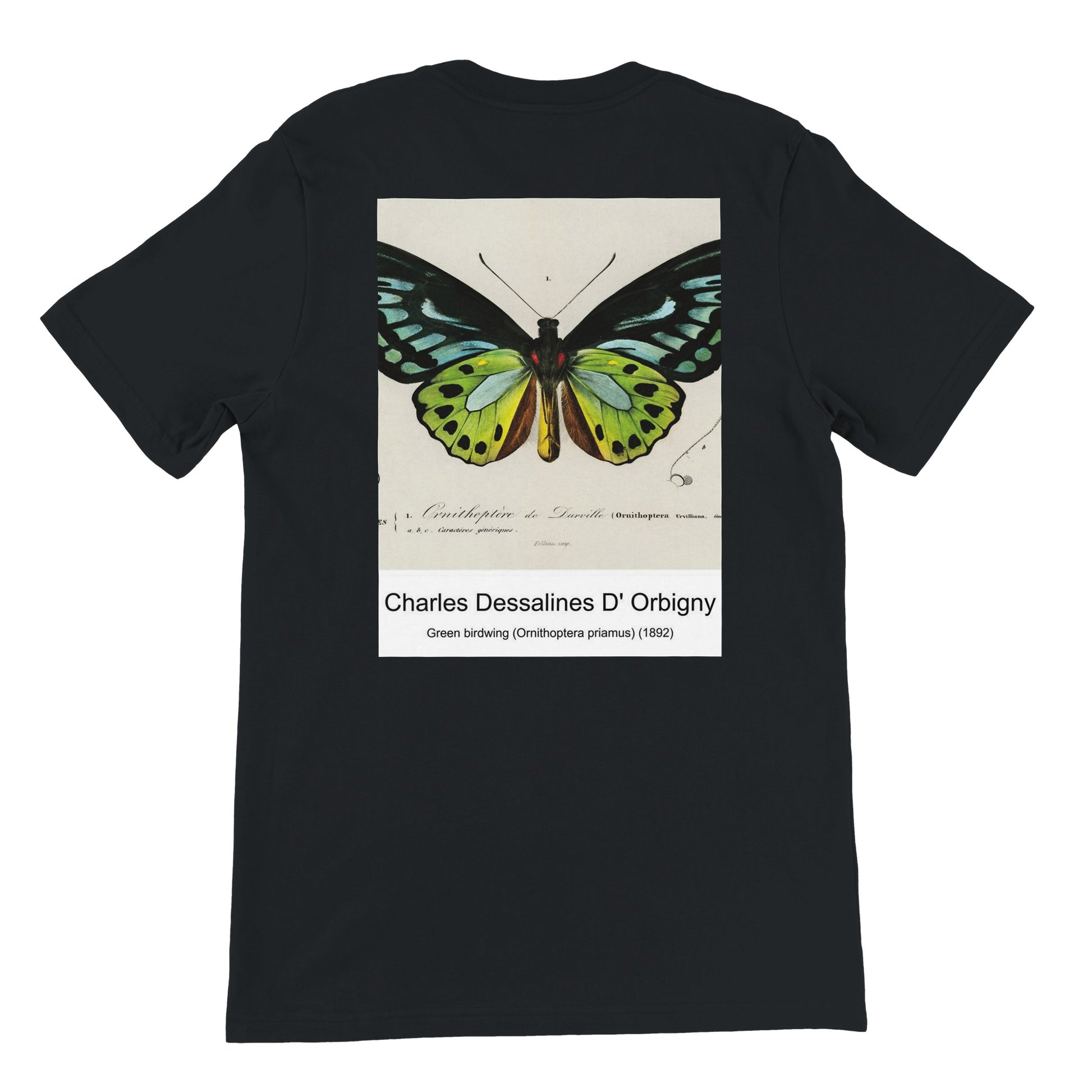 f95b04d1-105b-4adc-84ed-98ed8e86de34