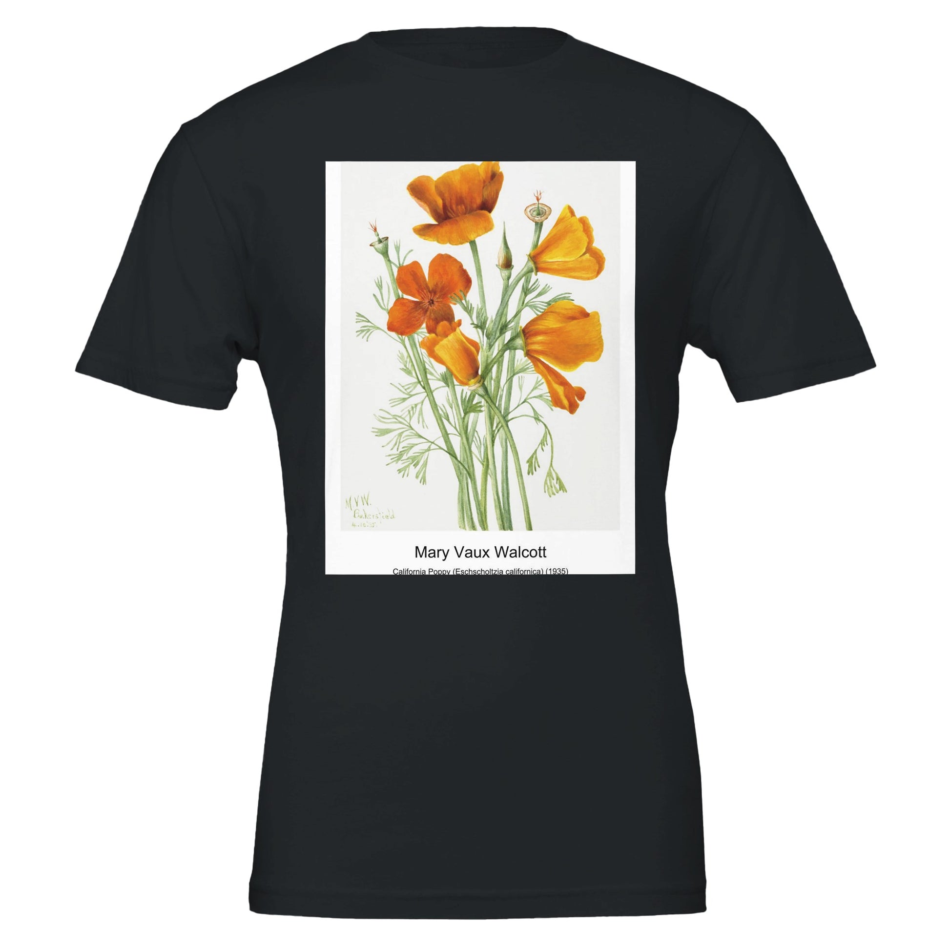 f9ff78eb-e34b-486a-bb50-0cd5b540c48d