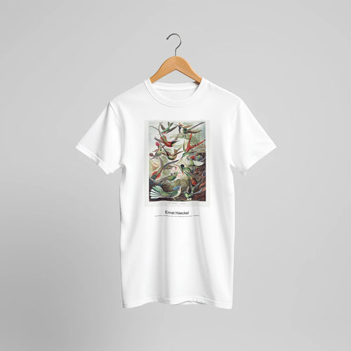 Trochilidae-Kolibris from Kunstformen der Natur (1904) by Ernst Haeckel. Custom Print on a 100% Airlume Combed and Ring-Spun Cotton Unisex Crewneck T-shirt Original Aspect Ratio