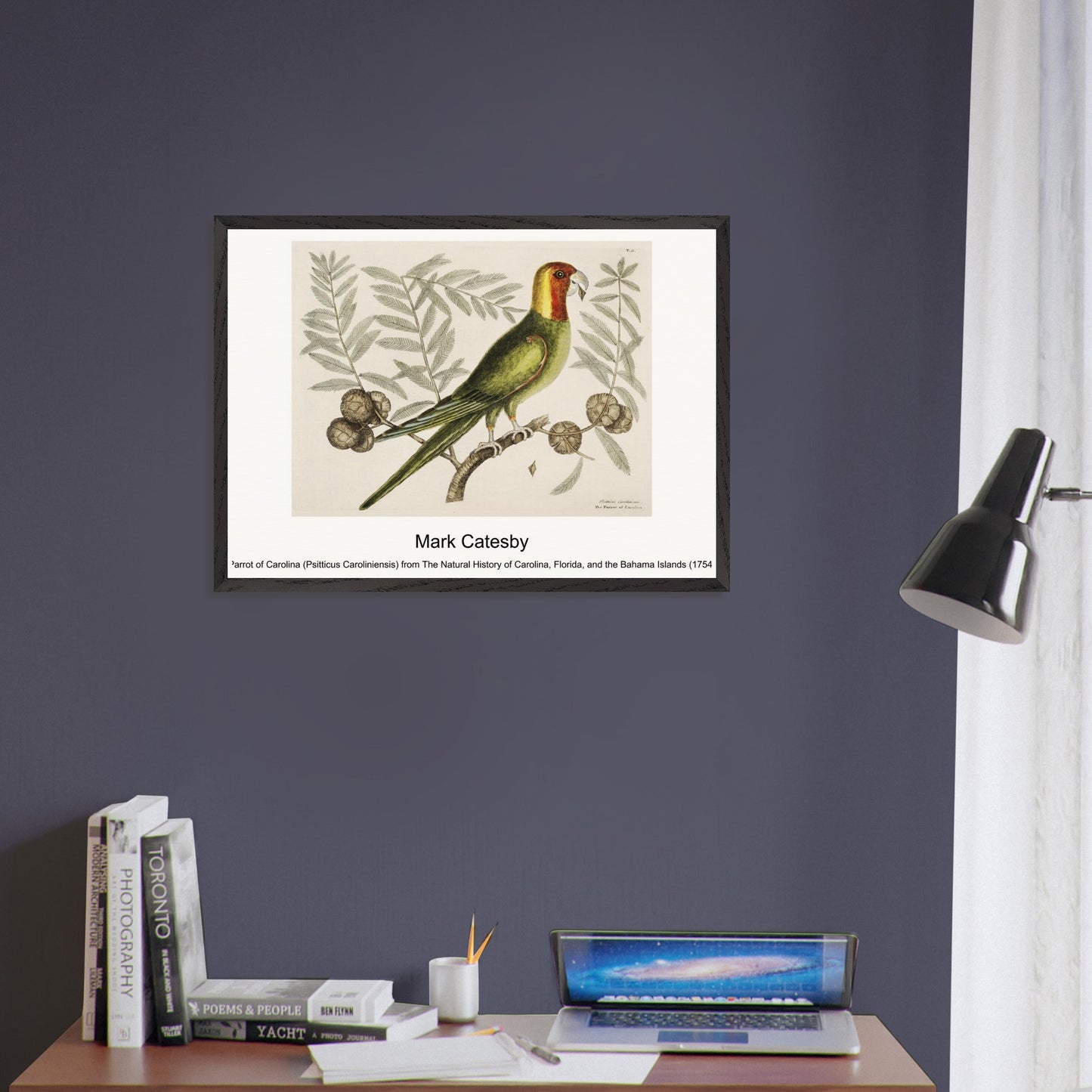 fb221dd9-c99b-4f07-81b3-f467a6b88821