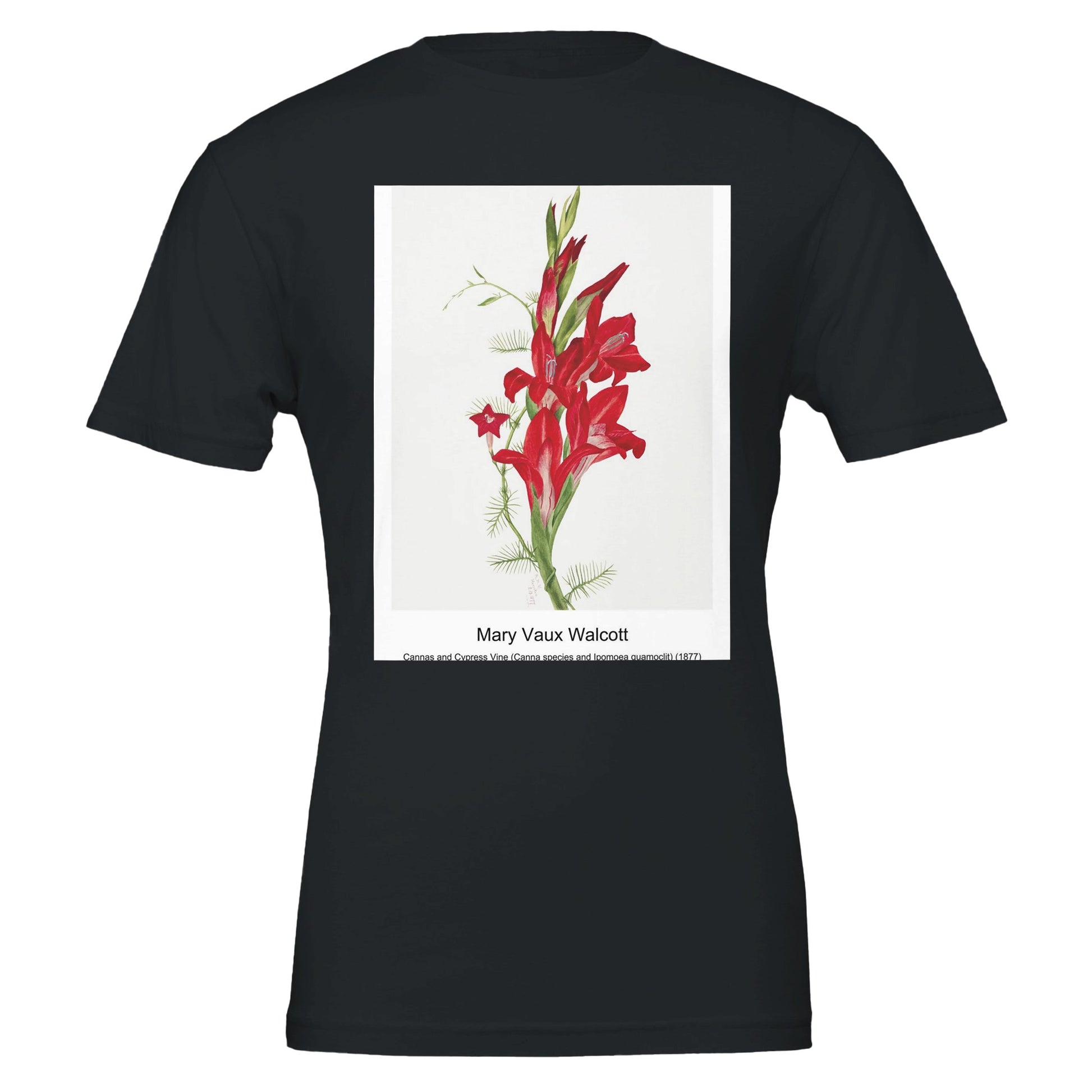 fb6adf87-1c73-4fc3-8af4-2fa10eda586d