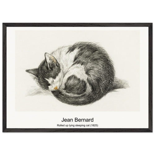 Rolled up lying sleeping cat (1825) by Jean Bernard. Archival Print on Museum Quality Matte Paper. Premium Wood Framed Wall Art. Original Aspect Ratio