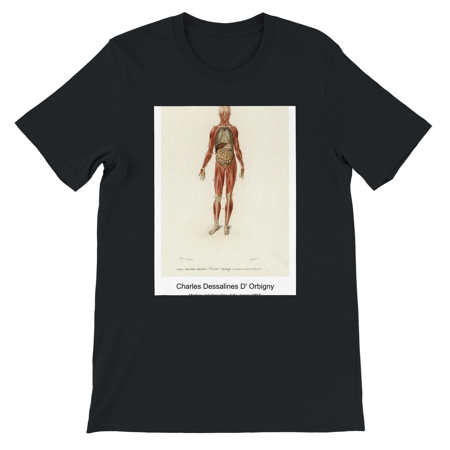 fc416485-720a-4e6c-b857-8dc6844097d4