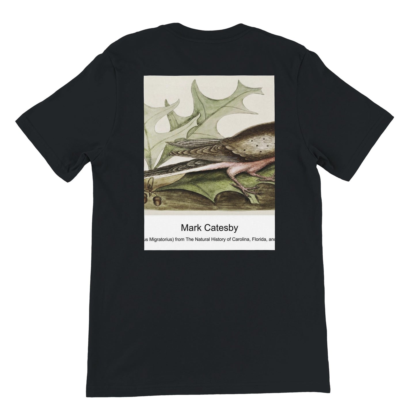 fcd56338-b9b2-42e7-9b8a-69d31267783e