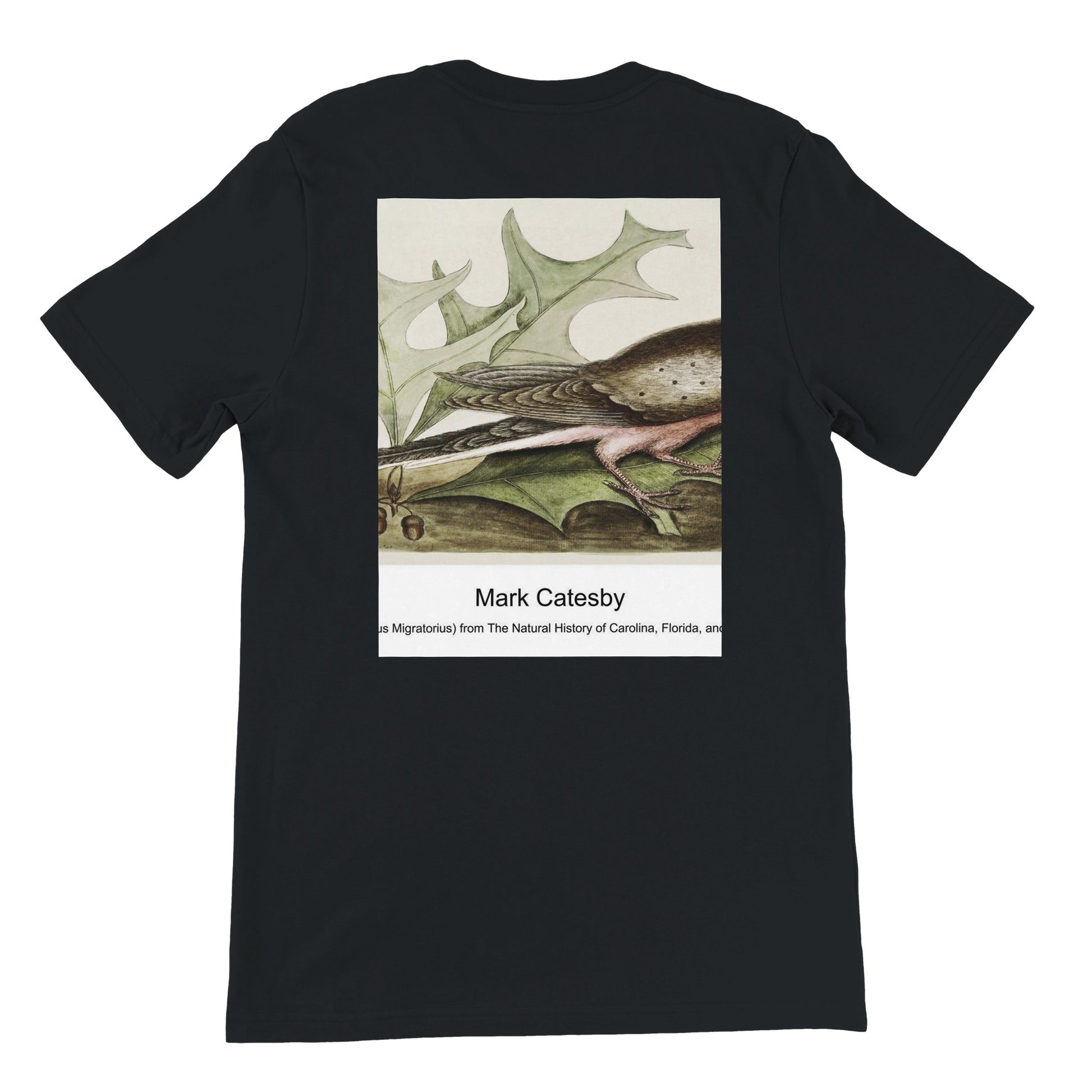 fcd56338-b9b2-42e7-9b8a-69d31267783e