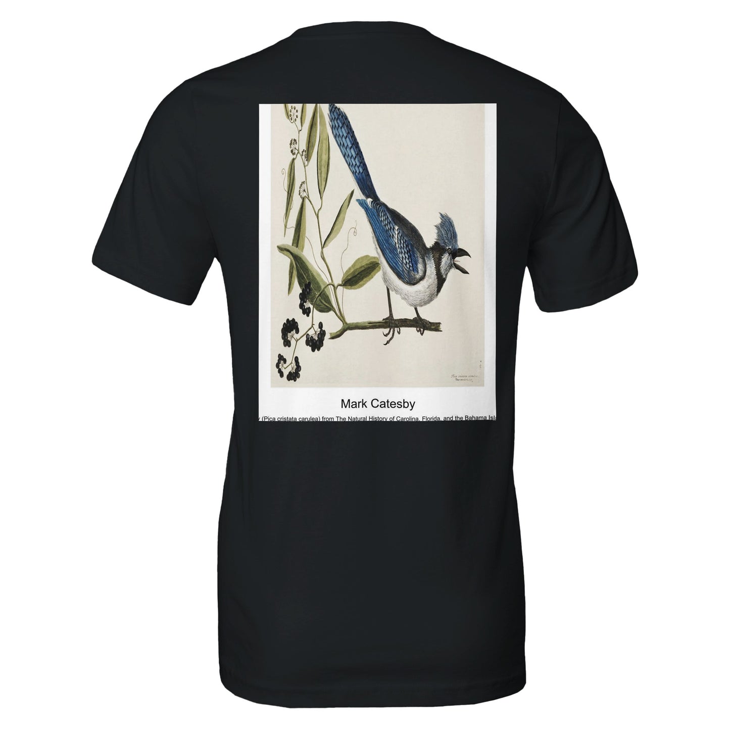 fd3bed44-c8c0-4623-9ec3-60398e88ac51